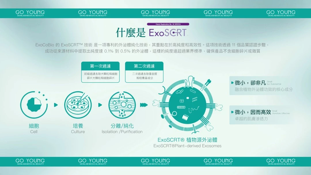 ASCE Plus HRLV 外泌體髮再生精華（魔泌魔藴）