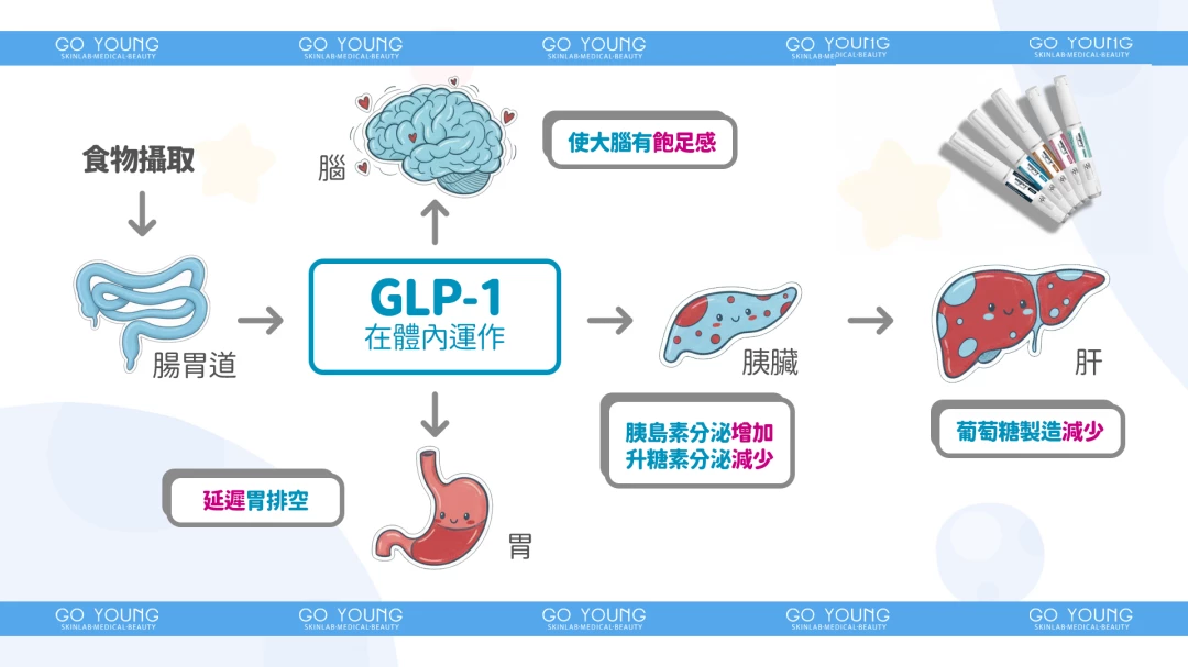 維秀美 Wegovy 減肥針
